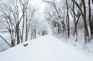 Un sentiero innevato nel bosco.Ph: Ali Inay